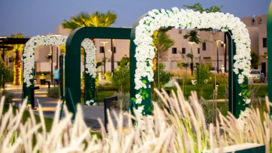 241 حديقة وواجهة بحرية تعزز جودة الحياة في تبوك بحلول 2025 6 77 140