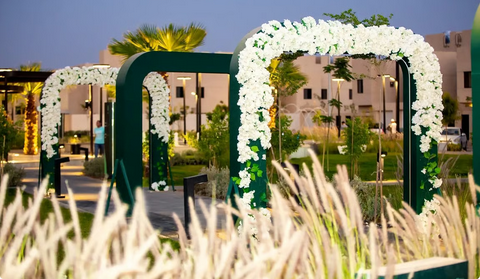 241 حديقة وواجهة بحرية تعزز جودة الحياة في تبوك بحلول 2025 1 77 140