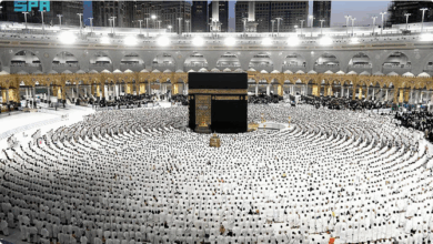 أكثر من 13.9 مليون مرة أداء للعمرة خلال شهر جمادى الأولى 3 777 113