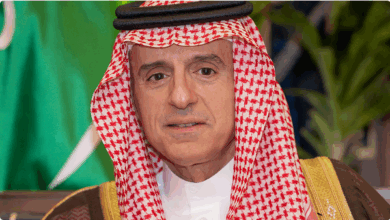 وزير الدولة للشؤون الخارجية يلتقي نائبة رئيس لجنة الشؤون الخارجية في البرلمان الأوروبي 4 777 116