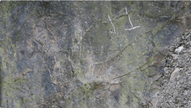 كشف علمي جديد في الصين: العثور على أكثر من 20 أثراً لأقدام ديناصورات عمرها 200 مليون سنة 6 777 118