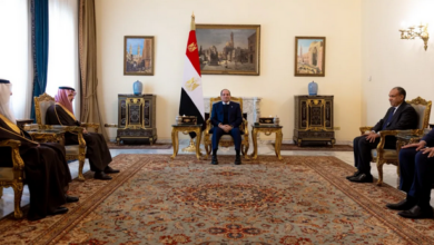 وزير الخارجية يبحث مع السيسي المستجدات إقليمياً ودولياً 16 777 130