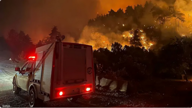 الأمم المتحدة تتدخل مع استمرار حرائق اللاذقية في سوريا لليوم السادس 5 777 68