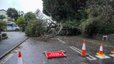 عاصفة عنيفة تعطل الطيران وتقطع الكهرباء عن عشرات الآلاف في نيوزيلندا 4 7777 87