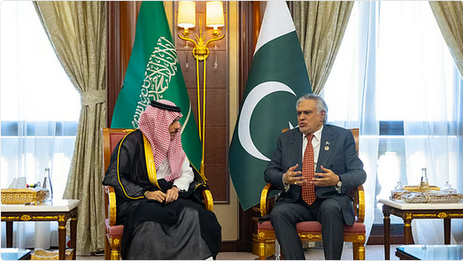 على هامش مبادرة مستقبل الاستثمار.. وزير الخارجية السعودي يلتقي نظيره الباكستاني في الرياض 1 8 2 10