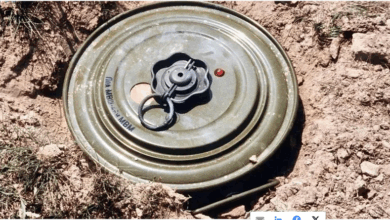 مشروع “مسام” يواصل تطهير الأراضي اليمنية وينتزع 924 لغمًا وذخيرة 3 8 396