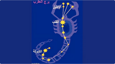 «الحصيني: الجمعة دخول طالع الشولة إيذانًا بذروة البرد وبداية موسم الزراعة الشتوية» 5 8 398