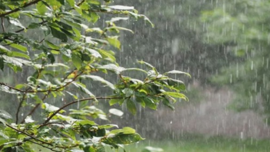 أجواء متقلبة في عيد الفطر.. أمطار غزيرة ورياح مثيرة للغبار على عدة مناطق 12 8 408