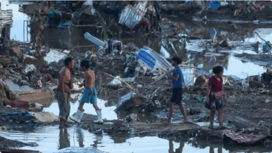 الخسائر الفادحة التي خلفها إعصار "كالمايجي" في فيتنام تتجاوز الـ 296 مليون دولار أمريكي 15 88 135