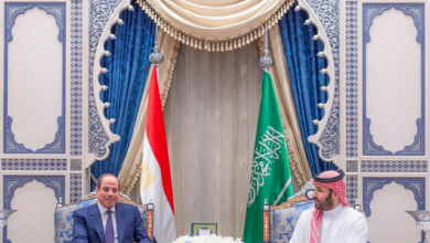 ولي العهد والرئيس المصري يبحثان تطورات الأوضاع الإقليمية 12 88 167