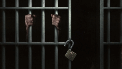 العدالة تنتصر: محكمة كويتية تسجن خليجيين 7 سنوات وتغرمهما ضعف المبالغ المستولى عليها بتهمة تزوير الجنسية 6 888 111