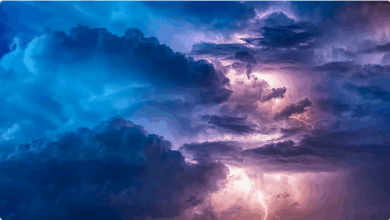 "الأرصاد": إنذار أحمر بهطول أمطار غزيرة ورياح شديدة على محافظة الجموم 4 888 121