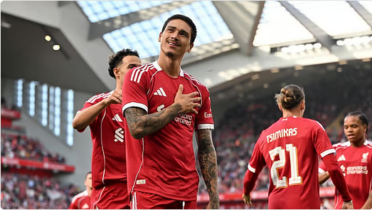 الهلال يقترب من ضم داروين نونيز في صفقة بـ53 مليون يورو 1 8888 84