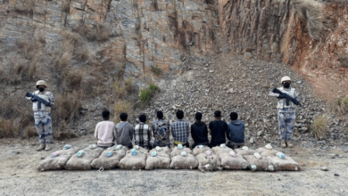 حرس الحدود بجازان يقبض على (8) مخالفين لتهريبهم (360) كيلوجرامًا من القات المخدر 5 9 2 12