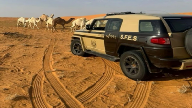 الأمن البيئي يضبط مخالفًا لرعي الإبل داخل محمية الإمام عبدالعزيز 3 9 3 7