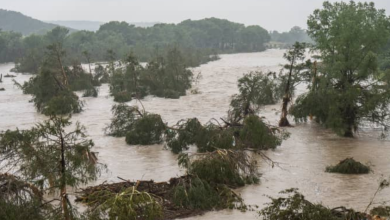 ارتفاع حصيلة الفيضانات في تكساس لـ59 قتيلًا 3 9 375