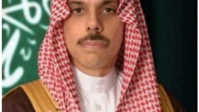 وزير الخارجية يصل باريس لبحث "خطة غزة الأمريكية" وسبل تثبيت وقف إطلاق النار 5 9 4 1