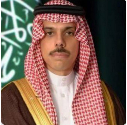 وزير الخارجية يصل باريس لبحث "خطة غزة الأمريكية" وسبل تثبيت وقف إطلاق النار 1 9 4 1