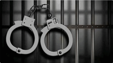 ضبط 7 مروّجين وإحباط محاولة ترويج 16 كغم حشيش و"الشبو" ومواد طبية محظورة 6 9 416