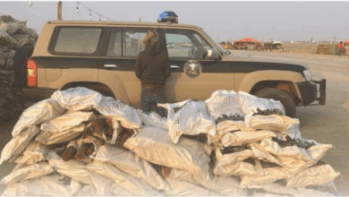 دوريات المجاهدين بالمنطقة الشرقية تضبط مخالفًا من الجنسية البنجلاديشية بحوزته حطب محلي معروض للبيع 2 9 431