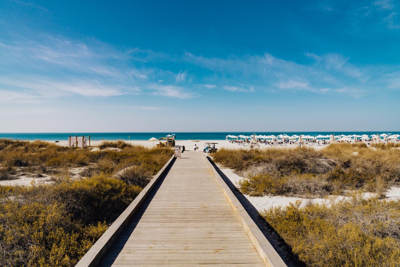 جزيرة السعديات أبوظبي الوجهة الأمثل للاحتفال باليوم الوطني السعودي على شواطئ الخليج العربي الساحرة 9 9