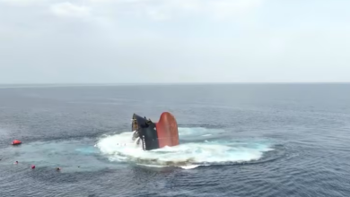 ارتفاع عدد ناجي "إيتيرنيتي سي" مع استمرار البحث عن 11 مفقودًا في البحر الأحمر 2 99 154