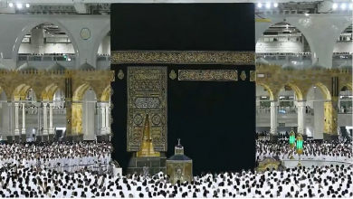 "شؤون الحرمين" تُقدم خدمات إثرائية متكاملة لضيوف الرحمن 2 99 166