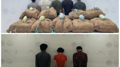 حرس الحدود يضبط مهربين للقات في جازان وعسير 2 99 184