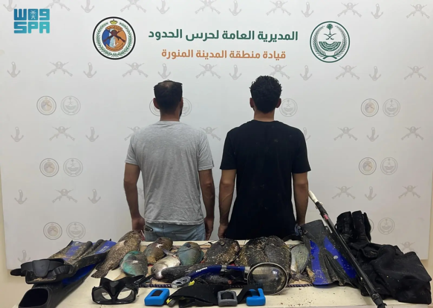 ضبط مخالفين للائحة الأمن والسلامة لمزاولي الأنشطة البحرية بالمدينة المنورة 1 99 191
