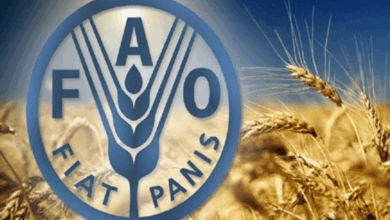 مؤشر “الفاو” لأسعار الغذاء في نوفمبر يتراجع للمرة الثالثة على التوالي 3 99 224