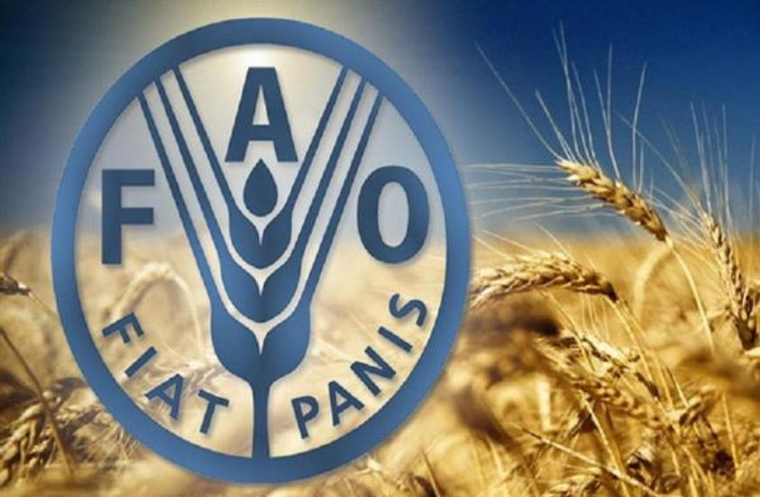 مؤشر “الفاو” لأسعار الغذاء في نوفمبر يتراجع للمرة الثالثة على التوالي 1 99 224