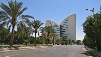 فرص وظيفية جديدة في جامعة نجران للكوادر الأكاديمية بنظام التعاقد 6 99 225