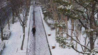 شتاء كوريا يتجمد.. موجة قطبية تضرب البلاد والحرارة تهبط لما دون 17 درجة مئوية 4 99 241