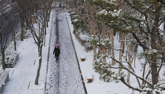 شتاء كوريا يتجمد.. موجة قطبية تضرب البلاد والحرارة تهبط لما دون 17 درجة مئوية 1 99 241