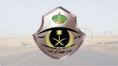 نصائح أمن الطرق لرحلة آمنة: دليلك الشامل للسفر براً 6 999 131