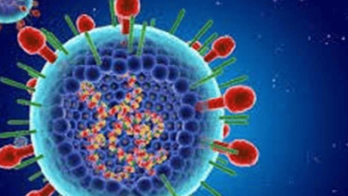 ثورة في مكافحة الفيروسات: مركبات جديدة تعزز دفاعات الخلية لمواجهة شاملة 3 999 134