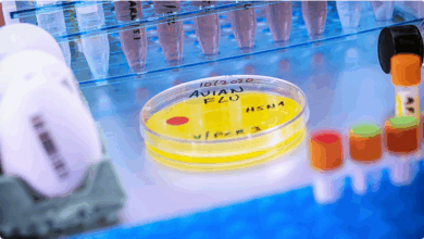 أول إصابة بشرية بسلالة H5N5 من إنفلونزا الطيور تُسجَّل في أمريكا 5 999 183