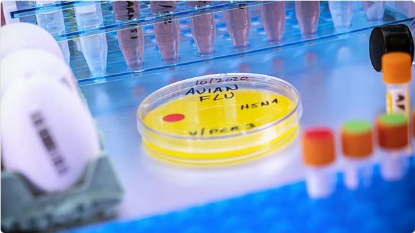 أول إصابة بشرية بسلالة H5N5 من إنفلونزا الطيور تُسجَّل في أمريكا 1 999 183