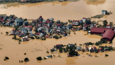 حصيلة فيضانات الفيتنام ترتفع إلى 90 شخصًا 5 999 184