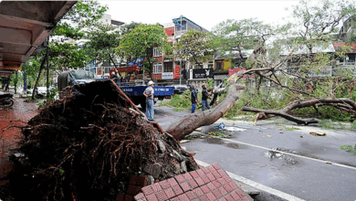 فيتنام تجلي الآلاف وتغلق المطارات مع اقتراب الإعصار "بوالوي" 4 999 2 6