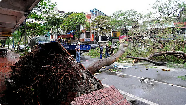 فيتنام تجلي الآلاف وتغلق المطارات مع اقتراب الإعصار "بوالوي" 1 999 2 6