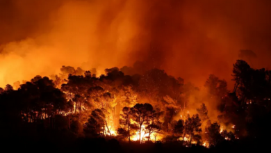 18 قتيلًا في حرائق غابات تشيلي وإعلان حالة كارثة 3 999 205