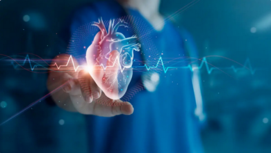 ثورة في طب القلب: دراسة أسترالية تكشف قدرة "العضلة الحيوية" على ترميم نفسها 6 999 206