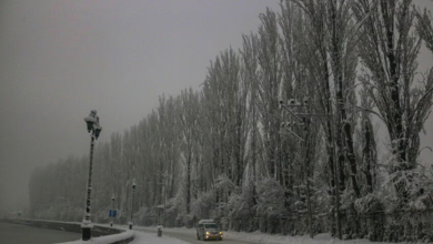 عاصفة ثلجية مميتة تجتاح جنوب الولايات المتحدة وتكسر برودة عقود 5 999 211