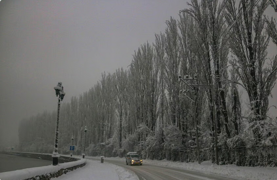 عاصفة ثلجية مميتة تجتاح جنوب الولايات المتحدة وتكسر برودة عقود 1 999 211