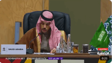 وزير الخارجية في G20 : ندعو لتنسيق دولي لمواجهة التحديات الاقتصادية 3 9999 116