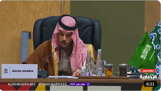 وزير الخارجية في G20 : ندعو لتنسيق دولي لمواجهة التحديات الاقتصادية 1 9999 116