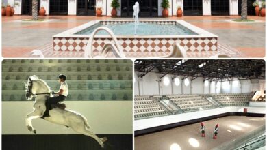 بتوجيهات منصور بن زايد.. افتتاح مدرسة "أبوظبي للفنون الفروسية الأميرية" في نوفمبر المقبل 17 WhatsApp Image 2025 09 23 at 4.10.06 PM