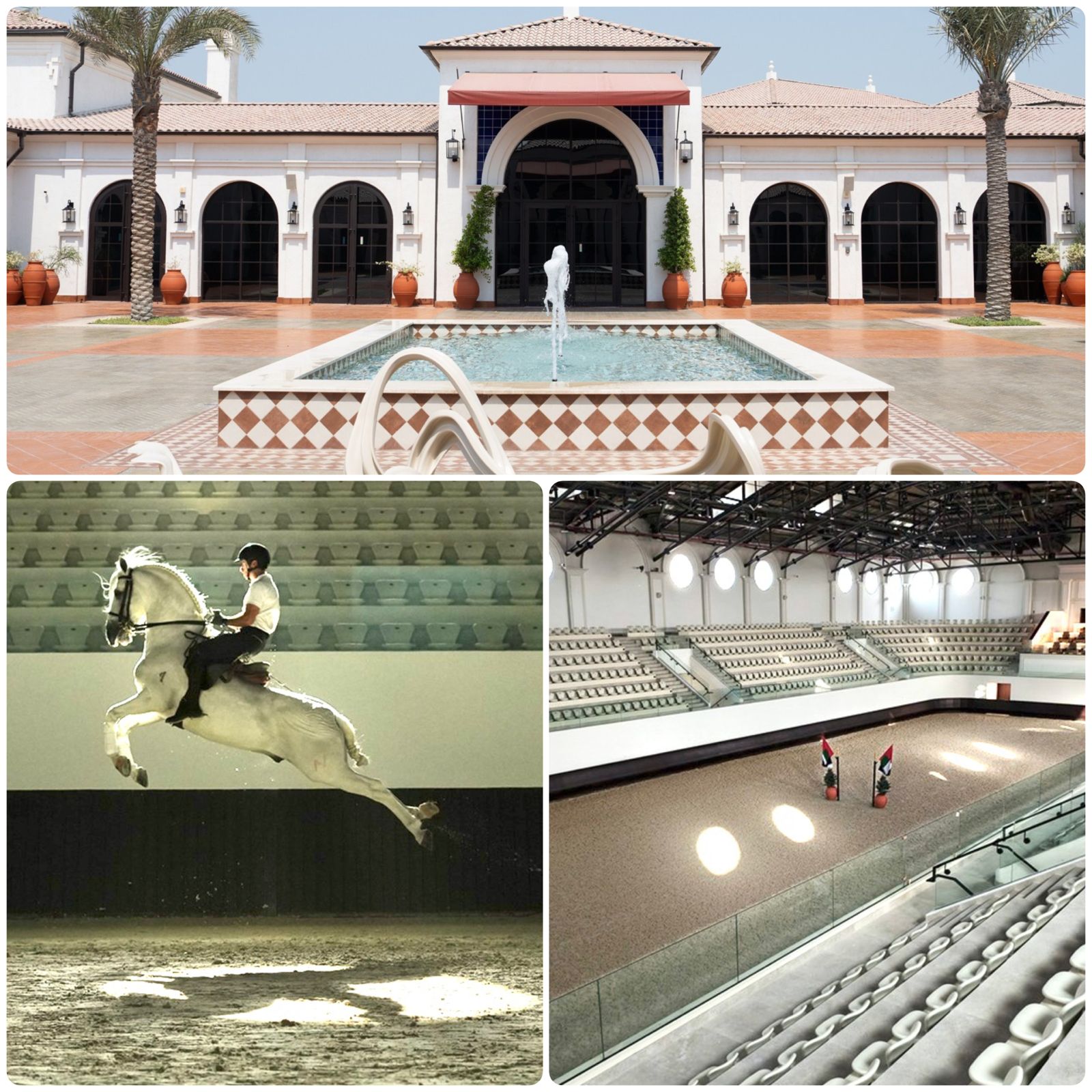 بتوجيهات منصور بن زايد.. افتتاح مدرسة "أبوظبي للفنون الفروسية الأميرية" في نوفمبر المقبل 1 WhatsApp Image 2025 09 23 at 4.10.06 PM