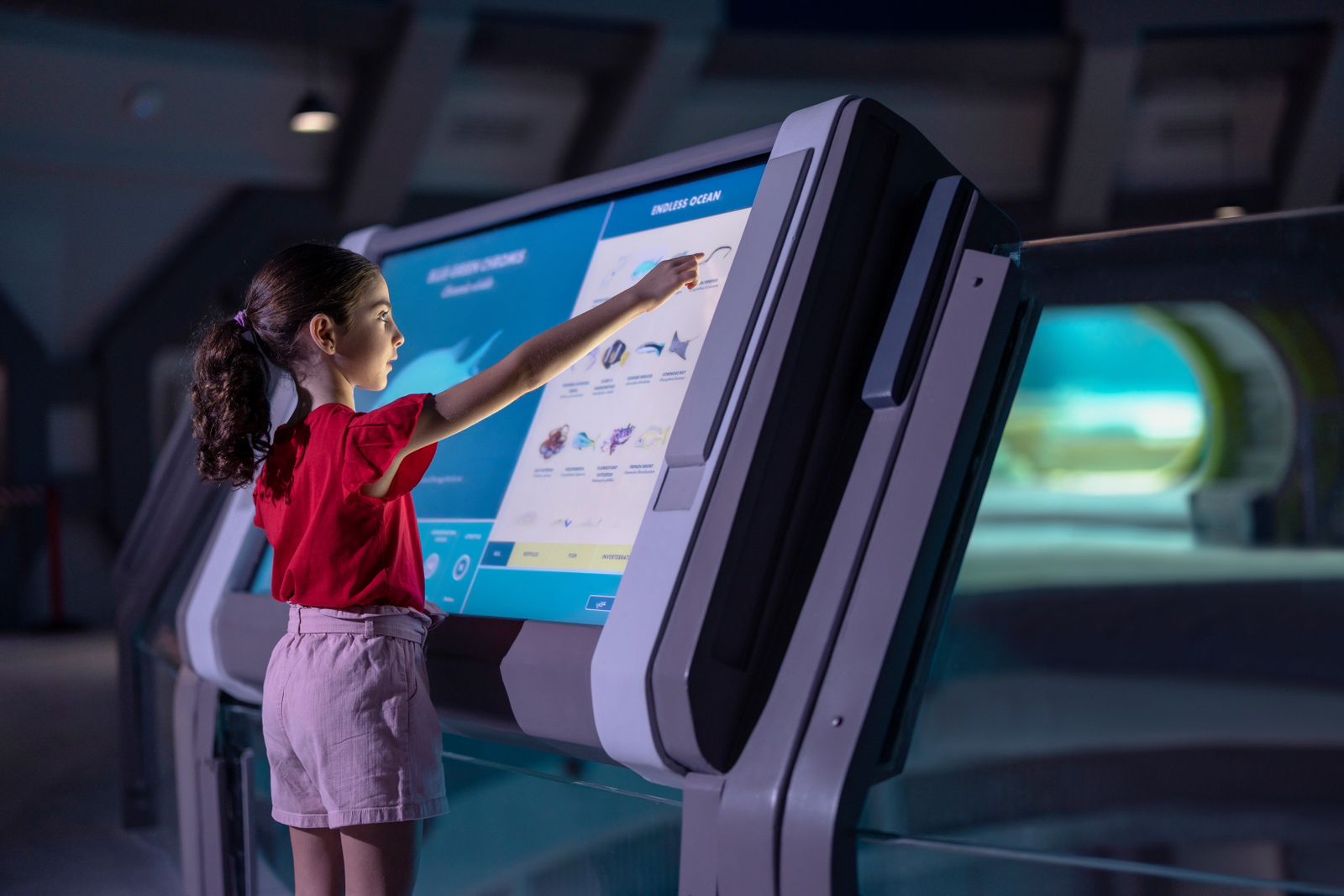 «سي وورلد جزيرة ياس» تحتفي باليوم الدولي للتعليم بباقة من الأنشطة والتجارب التعليمية 1 WhatsApp Image 2026 01 23 at 12.51.10 PM